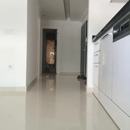 Besthome 20 Cleopatra